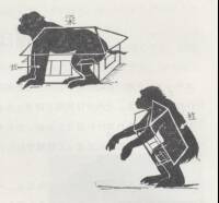 梁と柱